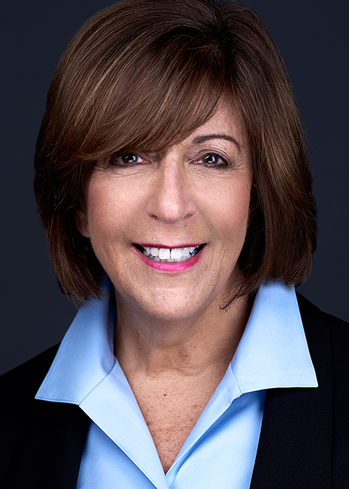 Photograph of  Senator  Sara Feigenholtz (D)